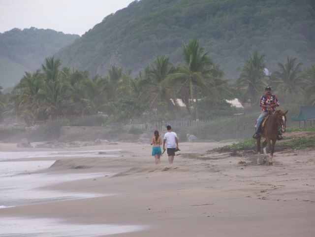 Caminatas y paseos a caballo